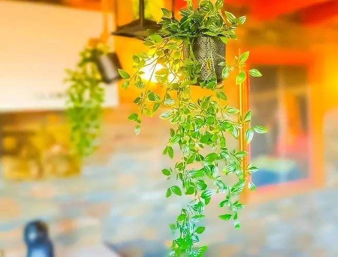 Apartmán Vesuvio Garden E Spa, Host *